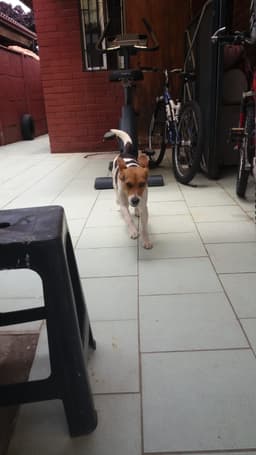 Ron