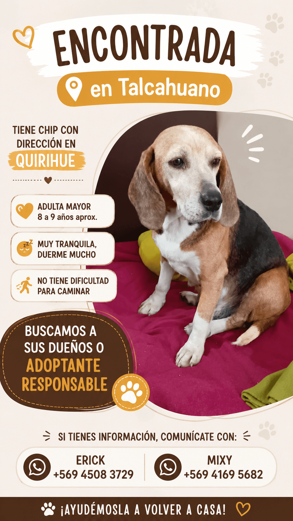 Busco a sus dueños o adoptante responsable